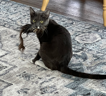 Angel